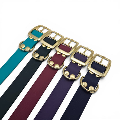 Set of dog collars with gold buckles in various colors on a white background