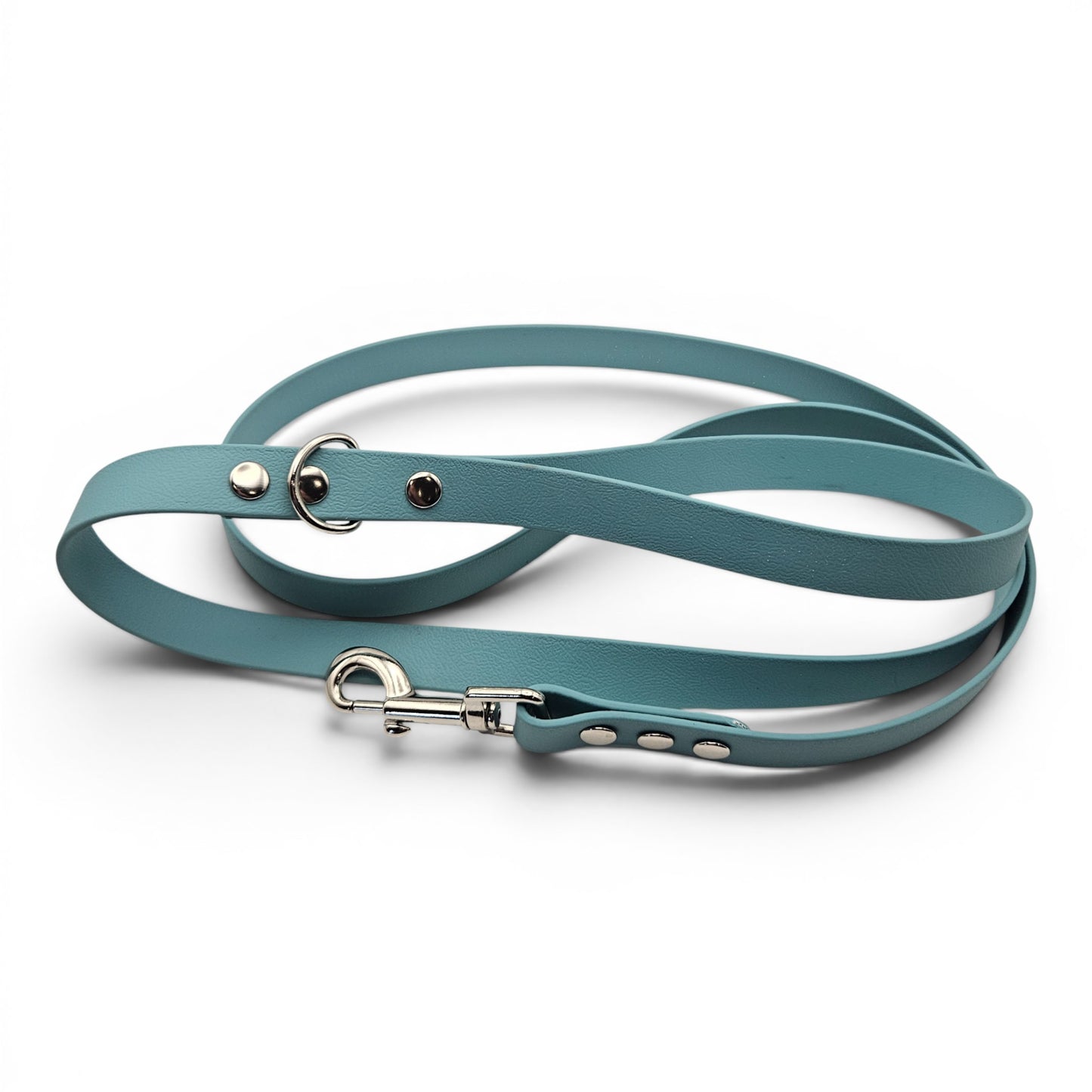 Teal dog leash with metal clip on a white background
