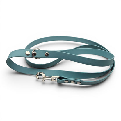 Teal dog leash with metal clip on a white background
